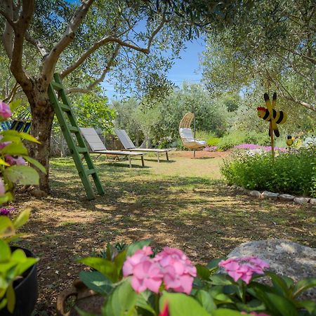 Holiday Home Lavanda Kornić المظهر الخارجي الصورة