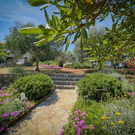 Holiday Home Lavanda Kornić المظهر الخارجي الصورة