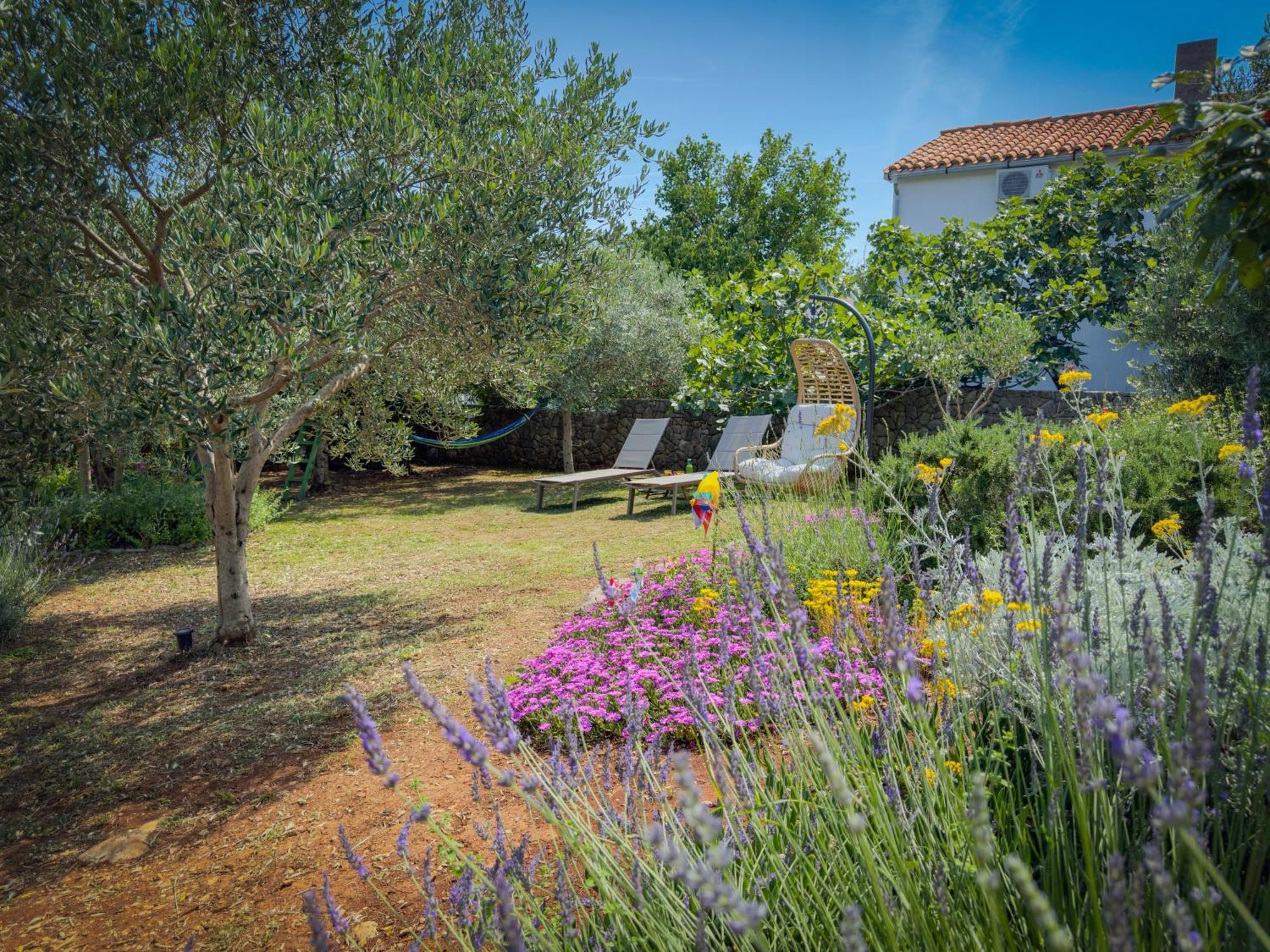 Holiday Home Lavanda Kornić المظهر الخارجي الصورة
