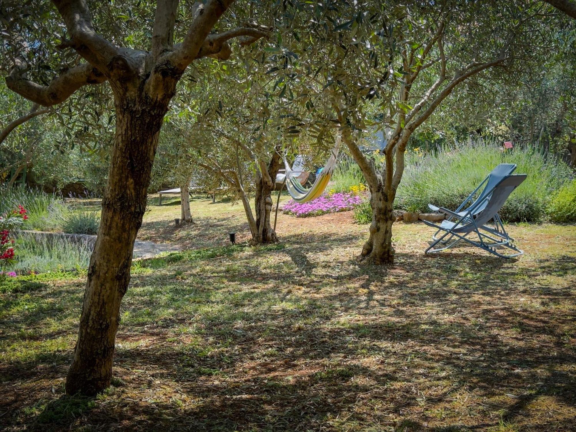 Holiday Home Lavanda Kornić المظهر الخارجي الصورة